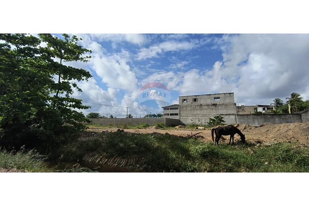 Terreno - Venda - Cabo de Santo Agostinho , Pernambuco - WhatsApp Image 2024-12-05 at 15.13.26 (3).jpeg - 850281028-40