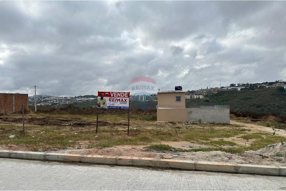 Terreno - Venda - Garanhuns , Pernambuco - WhatsApp Image 2025-01-08 at 17.00.51 (11).jpeg - 850131003-372