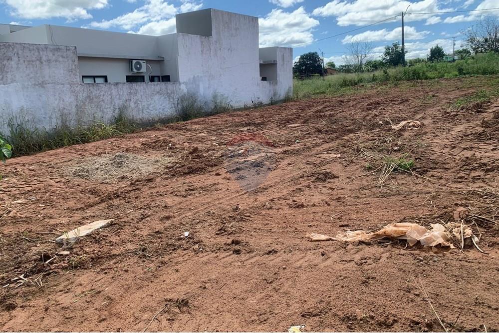 Terreno - Venda - Palmeira dos Índios , Alagoas - 03f91e9f-b9b3-4e90-a987-a704abaa316d.jpg - 850271243-2