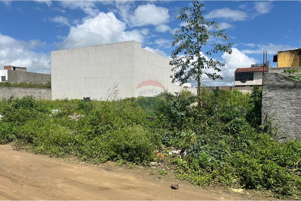 Terreno - Venda - Caruaru , Pernambuco - WhatsApp Image 2025-03-06 at 11.13.51 (1).jpeg - 850161060-22