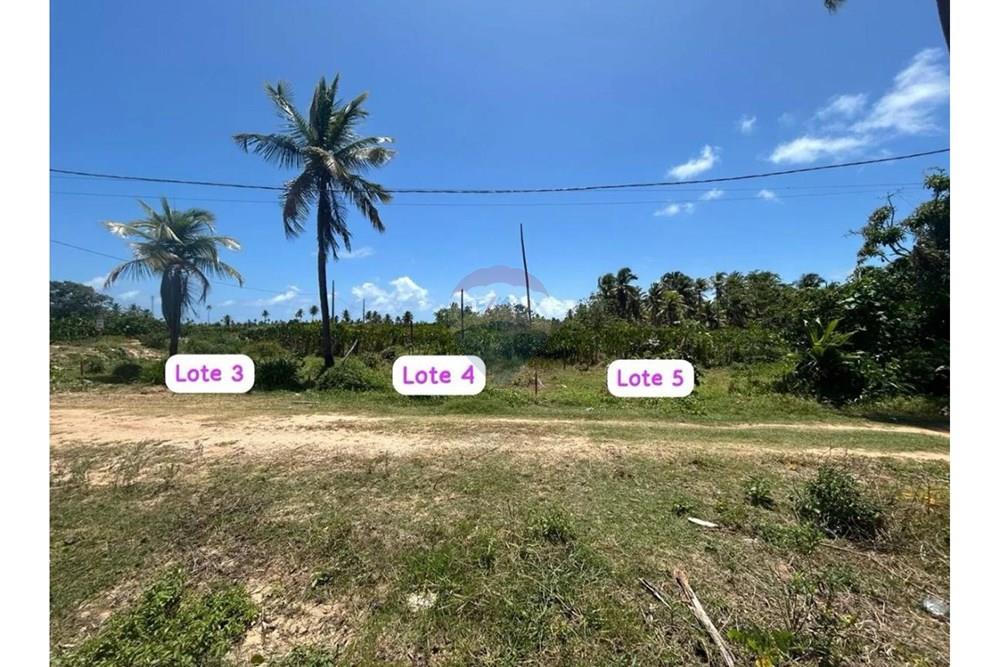 Terreno - Venda - São Miguel dos Milagres , Alagoas - WhatsApp Image 2025-10-17 at 20.59.29.jpeg - 850271222-9