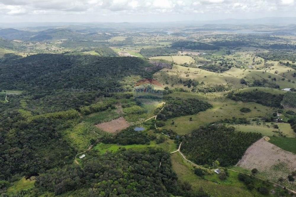 Chácara / Sítio / Fazenda - Venda - Bonito , Pernambuco - WhatsApp Image 2024-12-05 at 15.53.59 (2).jpeg - 850051012-116