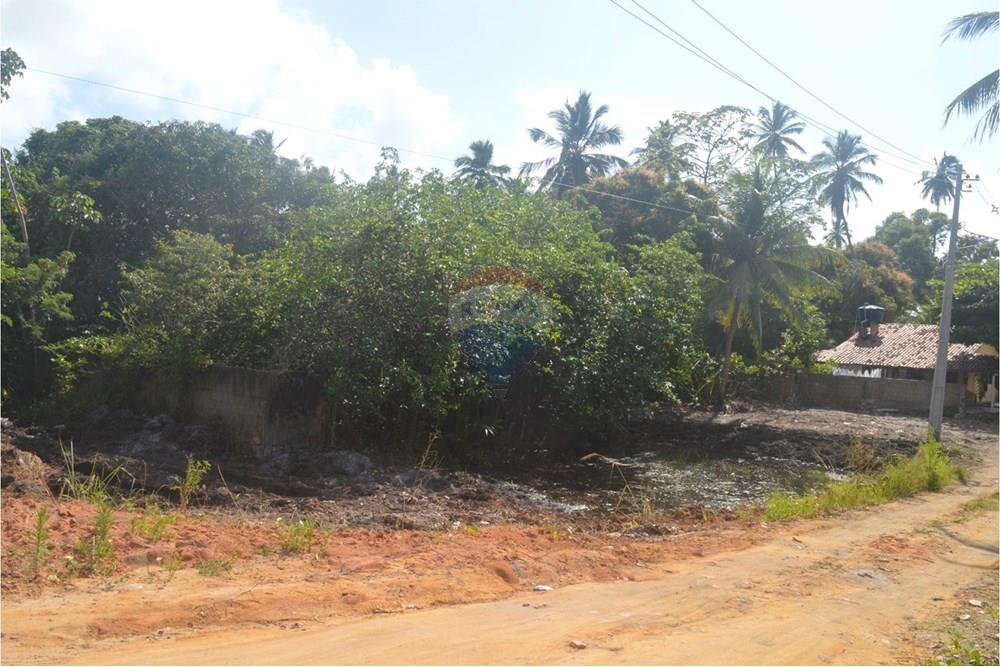 Terreno - Venda - Maragogi , Alagoas - WhatsApp Image 2025-10-19 at 9.01.32 AM (2).jpeg - 850291008-53