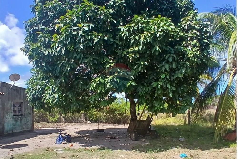 Chácara / Sítio / Fazenda - Venda - Piaçabuçu , Alagoas - IMG-20250221-WA0081.jpg - 850271205-15