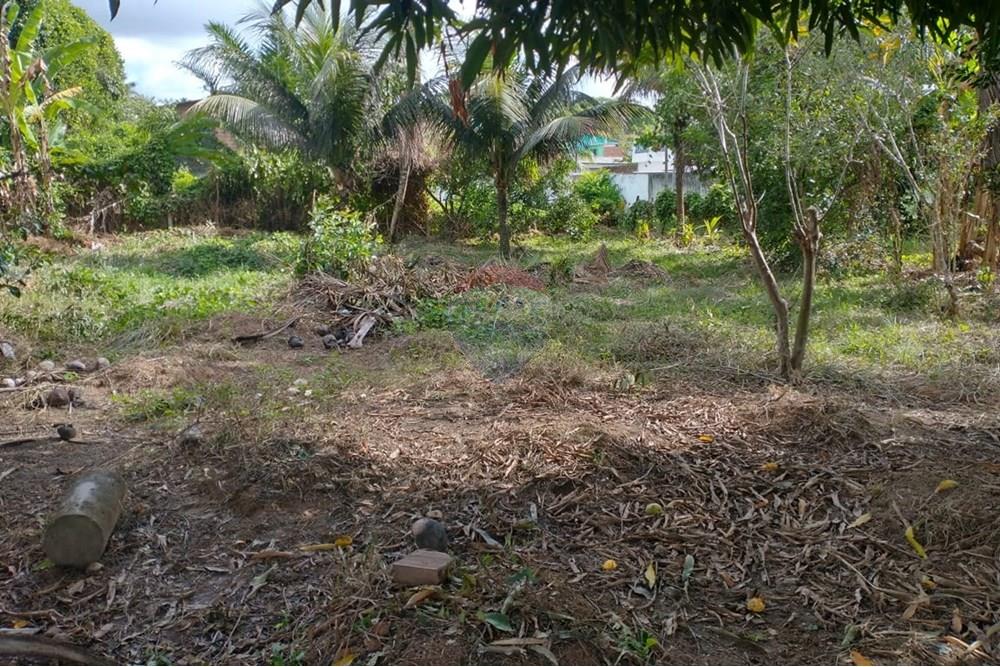 Terreno - Venda - Cabo de Santo Agostinho , Pernambuco - IMG-20250128-WA0045.jpg - 850281015-117