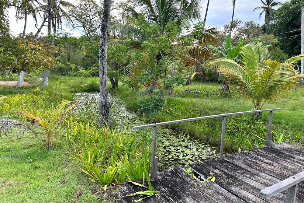 Terreno - Venda - Barra de Santo Antônio , Alagoas - IMG_3367.JPEG - 850491016-41