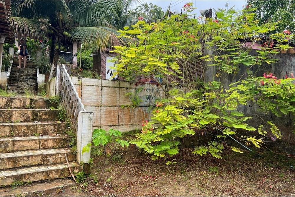 Casa de Campo - Venda - Cabo de Santo Agostinho , Pernambuco - WhatsApp Image 2025-03-13 at 15.10.51 (1).jpeg - 850281036-66