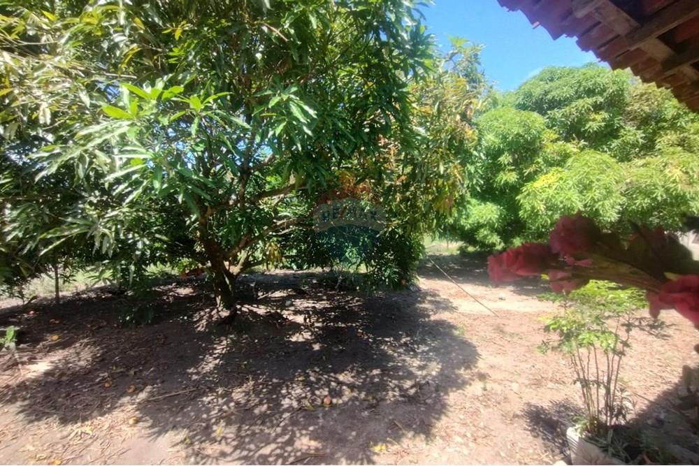 Chácara / Sítio / Fazenda - Venda - Marechal Deodoro , Alagoas - WhatsApp Image 2025-02-23 at 21.31.03 (2).jpeg - 850271006-269