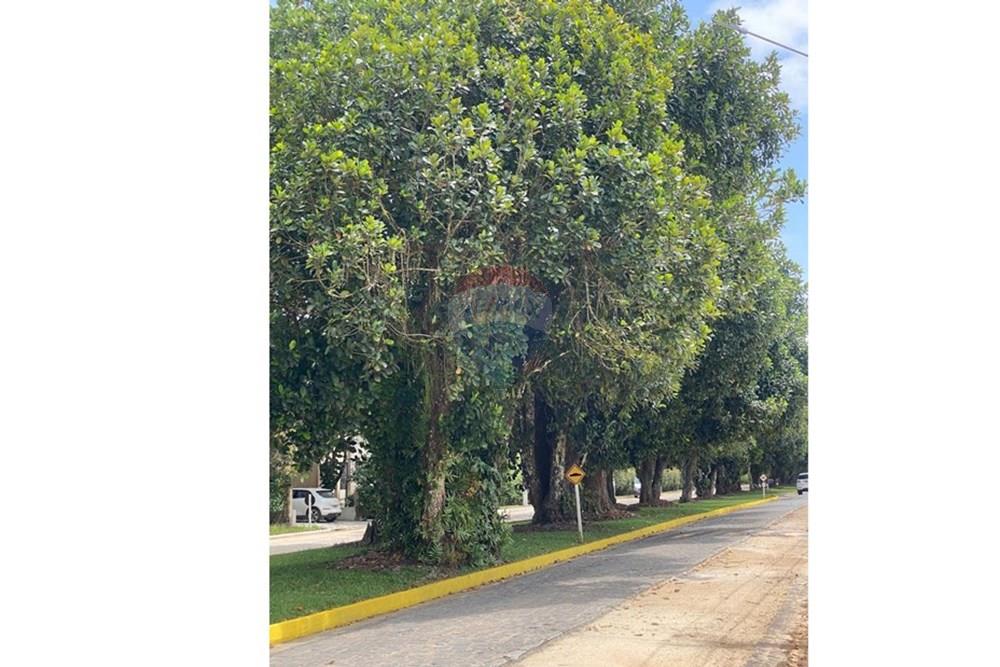 Casa - Venda - Camaragibe , Pernambuco - ENTRADA TORQUATO 3.jpeg - 850091072-23