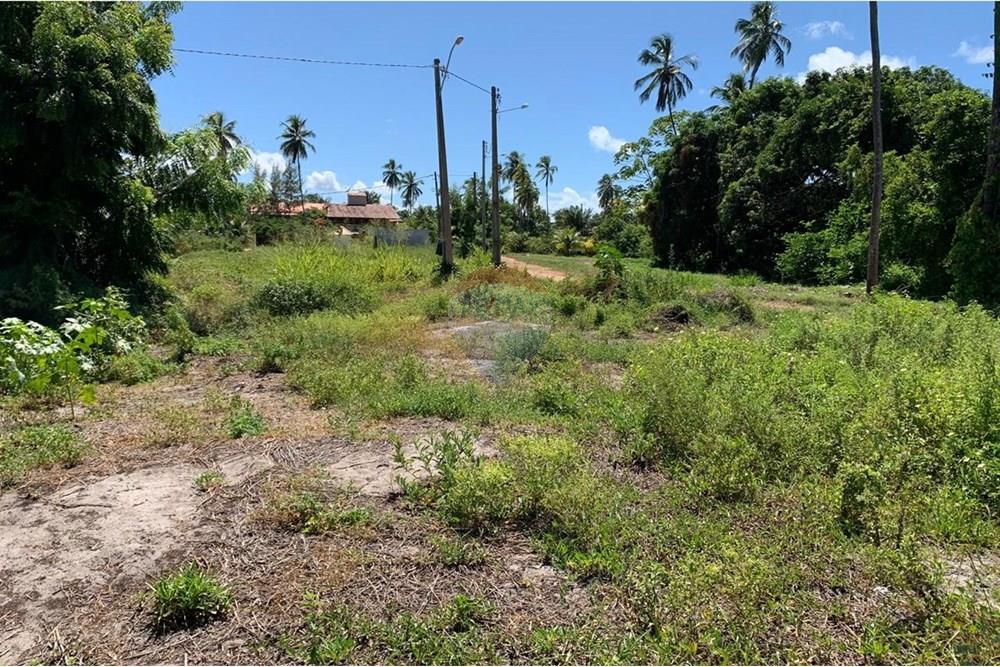 Terreno - Venda - Porto de Pedras , Alagoas - 22.jpg - 850661038-32