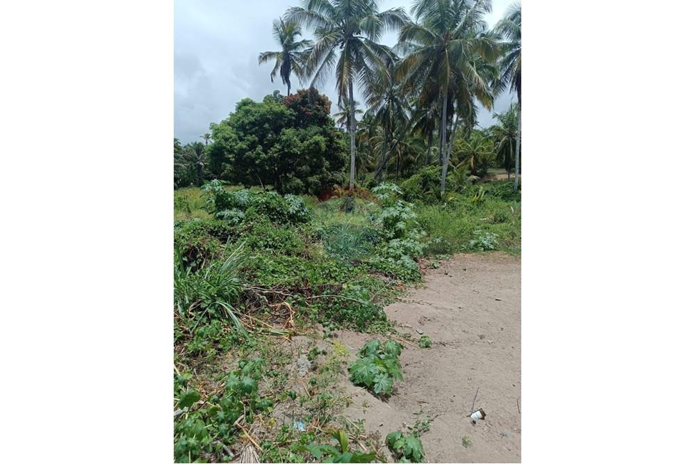 Terreno - Venda - Porto de Pedras , Alagoas - TERRENO LINDA 14.jpg - 850141002-102