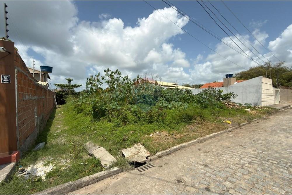 Terreno - Venda - Barra de São Miguel , Alagoas - WhatsApp Image 2025-09-22 at 09.23.28 (1).jpeg - 850491055-23