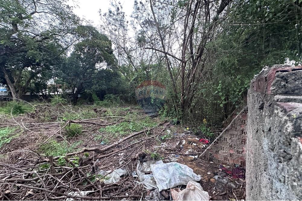 Terreno - Venda - Recife , Pernambuco - IMG_5070.jpeg - 850071028-29