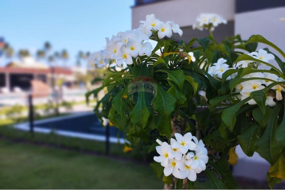 Apart Hotel/ Flat - Venda - Ipojuca , Pernambuco - WhatsApp Image 2025-01-18 at 12.31.00 (6).jpeg - 850071019-157