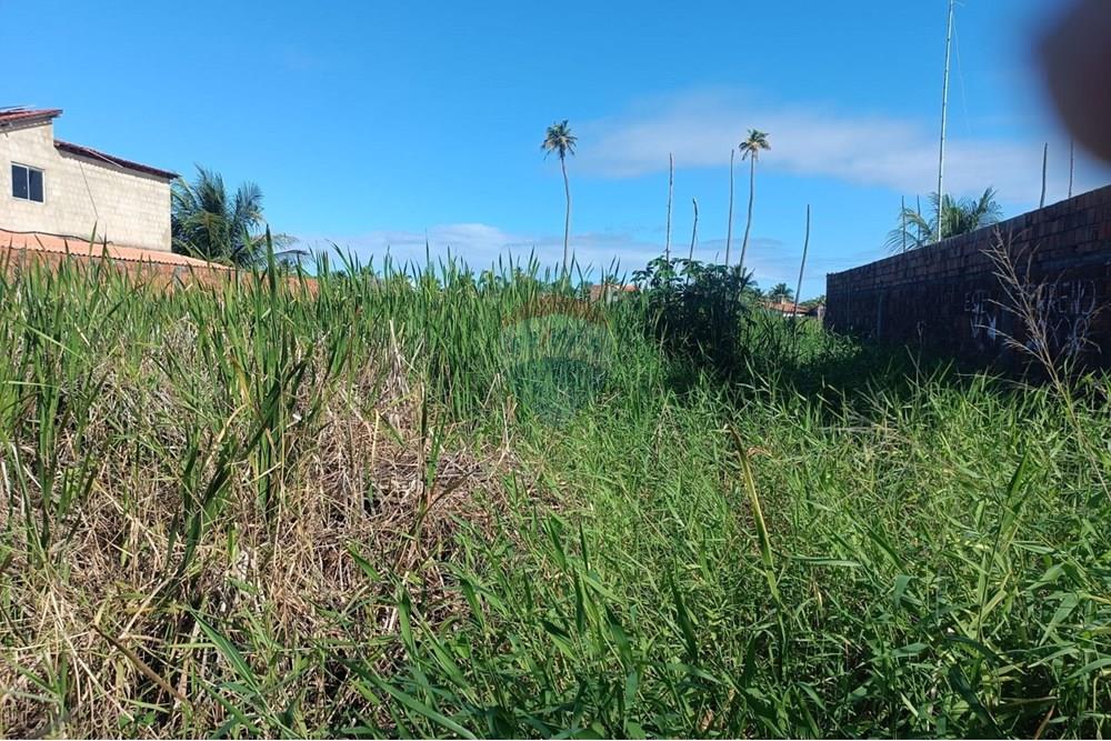 Terreno - Venda - Maceió , Alagoas - TERRENO NICAULA.jpg - 850141002-118