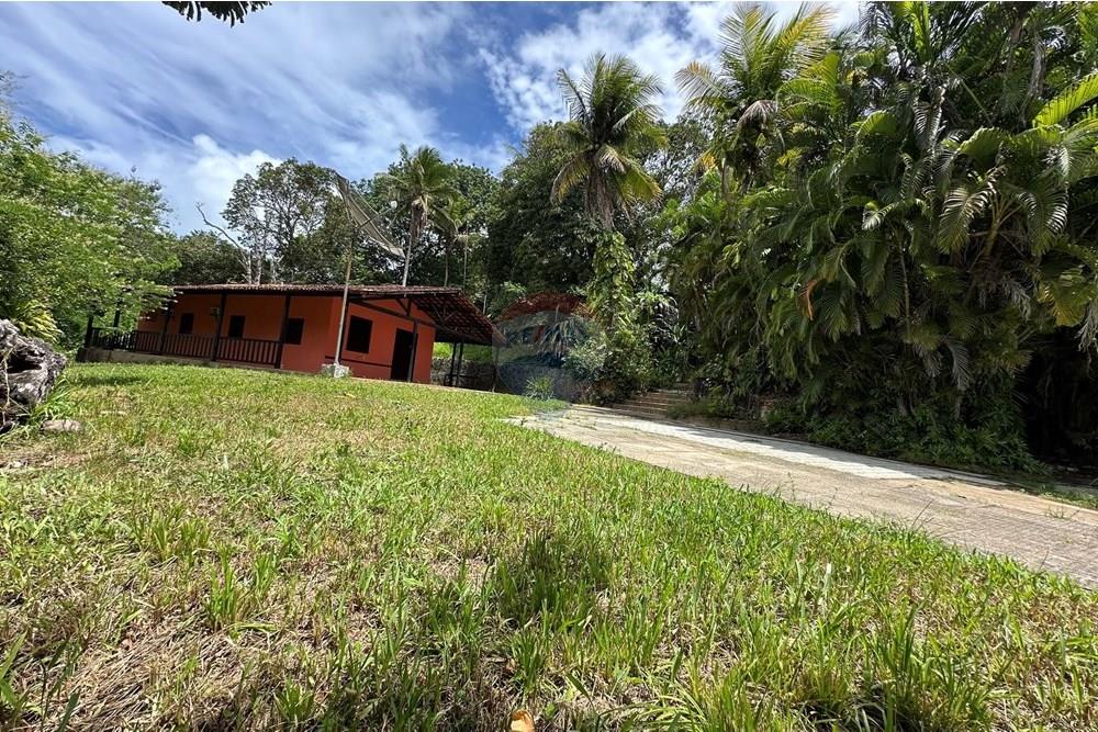 Chácara / Sítio / Fazenda - Venda - Maceió , Alagoas - IMG_3480.jpeg - 850271205-16