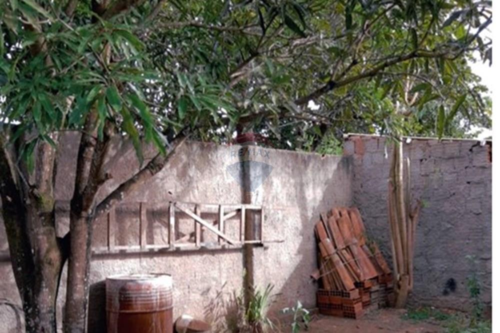 Casa - Venda - Bonito , Pernambuco - WhatsApp Image 2024-12-14 at 08.45.10 (3).jpeg - 850051012-118