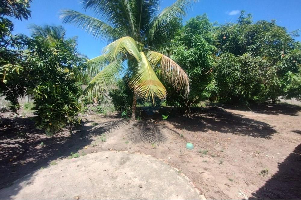 Chácara / Sítio / Fazenda - Venda - Marechal Deodoro , Alagoas - WhatsApp Image 2025-02-23 at 21.31.02.jpeg - 850271006-269