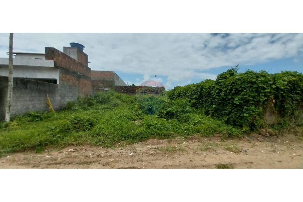 Terreno - Venda - Cabo de Santo Agostinho , Pernambuco - f42e1e0b-5c54-46d5-9620-c416607785f8.jpg - 850281005-154
