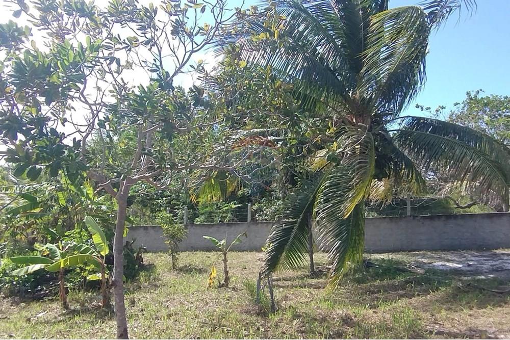 Chácara / Sítio / Fazenda - Venda - Santo Amaro das Brotas , Sergipe - fc2ce5cf-54c3-4f39-9dd3-7fd9a045c736.jpeg - 850581211-37