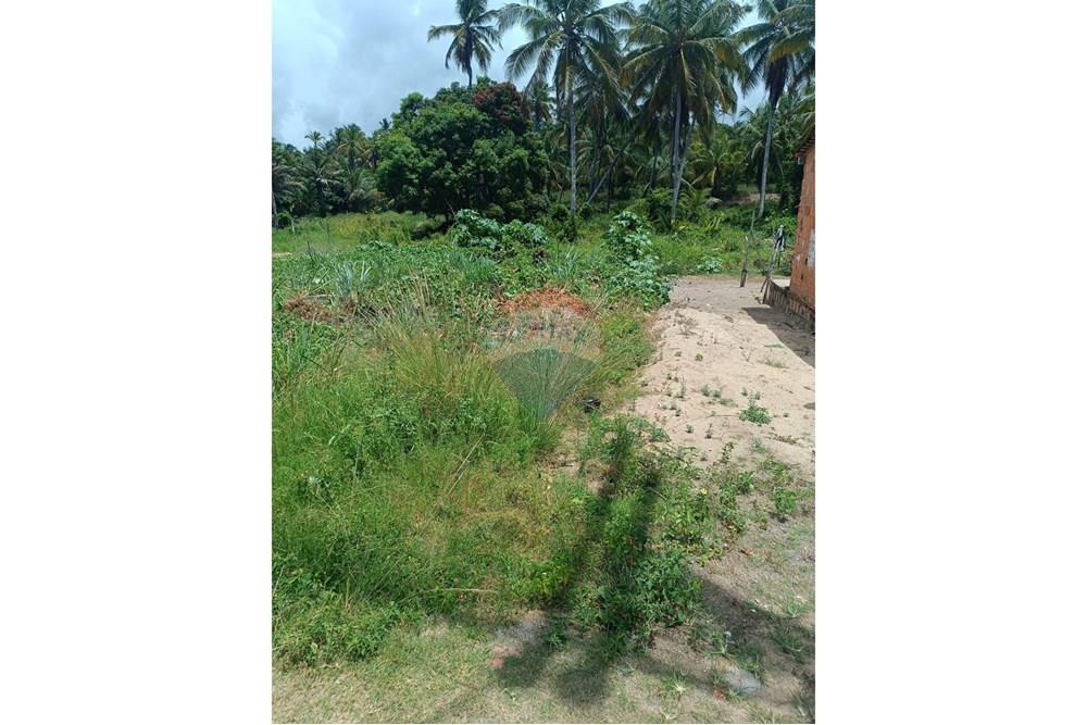 Terreno - Venda - Porto de Pedras , Alagoas - TERRENO LINDA 16.jpg - 850141002-102