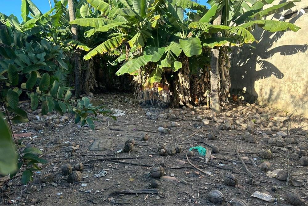 Casa - Venda - Maceió , Alagoas - WhatsApp Image 2025-08-09 at 09.53.16.jpeg - Quintal - 850271156-98