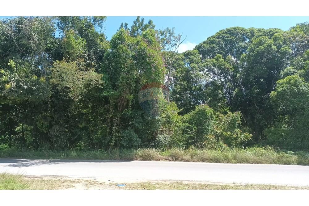 Galpão - Alugar - Cabo de Santo Agostinho , Pernambuco - WhatsApp Image 2024-11-05 at 19.49.20 (1).jpeg - 850281025-47