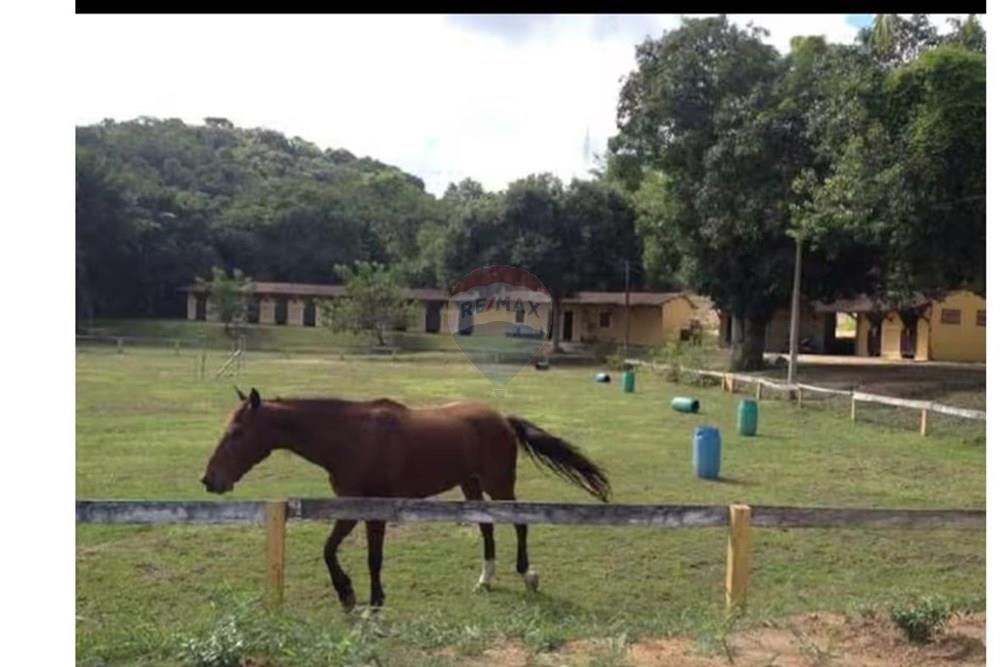 Casa de Condomínio - Venda - Camaragibe , Pernambuco - HARAS BAIAS.jpeg - 850091072-10
