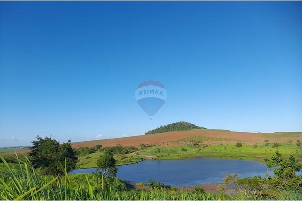 Terreno - Venda - Carpina , Pernambuco - LOTES NOVA CARPINA.jpg - 850261003-316