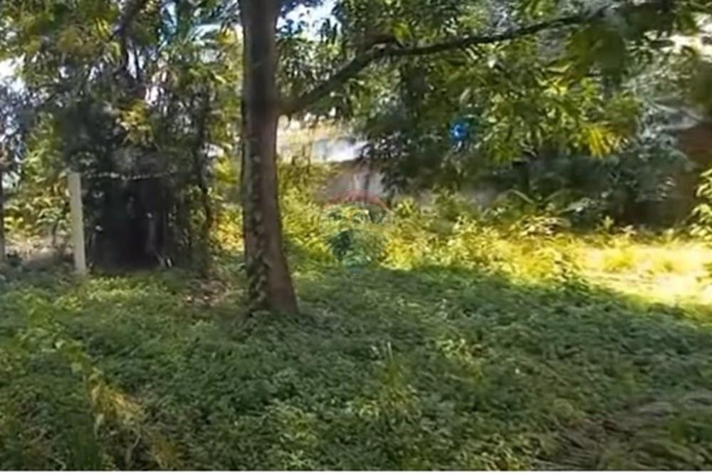 Terreno - Venda - Jaboatão dos Guararapes , Pernambuco - Foto dentro do terreno VI.jpg - 850601020-8