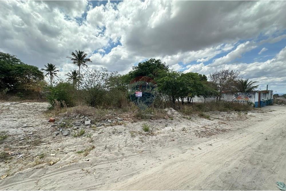 Terreno - Venda - Lajedo , Pernambuco - WhatsApp Image 2024-12-03 at 15.52.46 (2).jpeg - 850131003-358