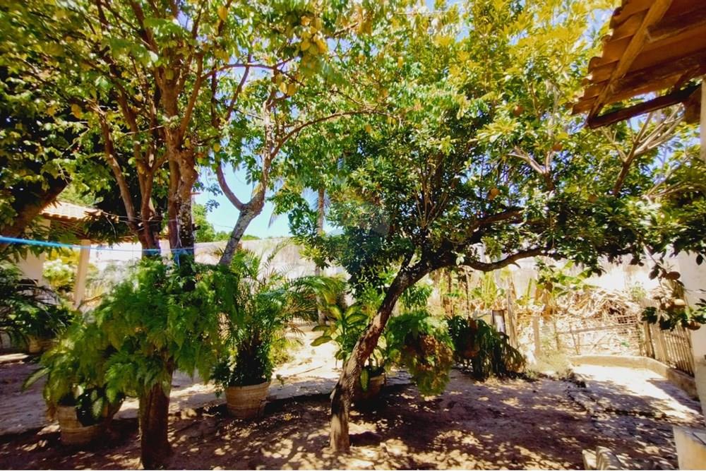 Chácara / Sítio / Fazenda - Venda - Aracaju , Sergipe - 3312a898-1031-477a-a268-c2445580fc59.jpg - 850581145-197