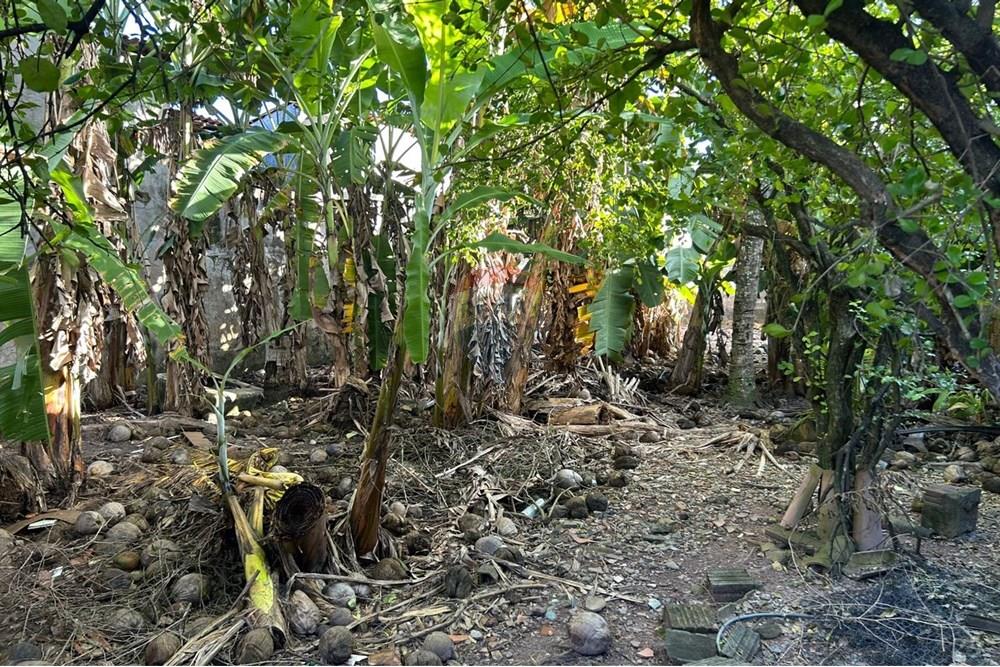 Casa - Venda - Maceió , Alagoas - WhatsApp Image 2025-08-09 at 09.53.25.jpeg - 850271156-98