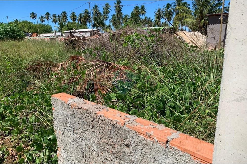Terreno - Venda - Porto de Pedras , Alagoas - 14.jpg - 850661038-25
