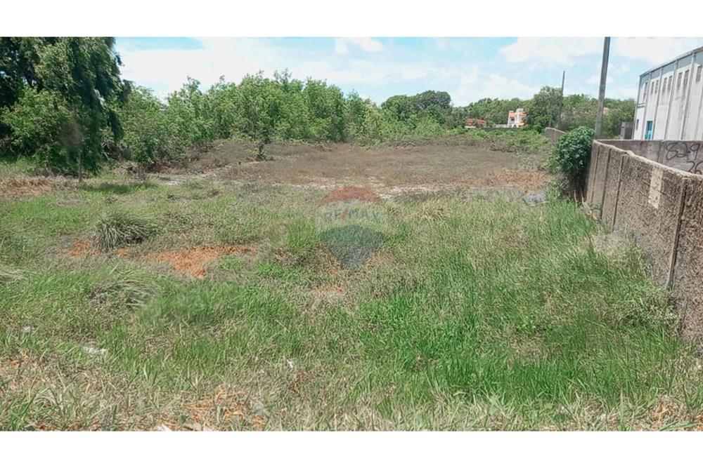 Terreno - Venda - Marechal Deodoro , Alagoas - WhatsApp Image 2025-01-30 at 17.29.16 (1).jpeg - 850691012-73
