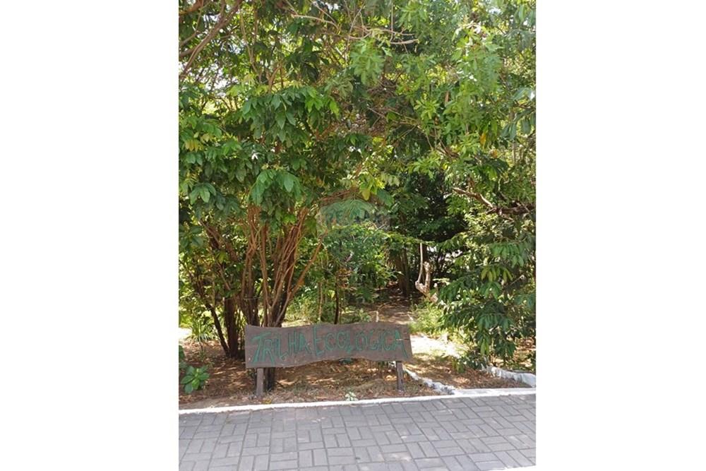 Apartamento - Venda - Paulista , Pernambuco - WhatsApp Image 2025-03-11 at 18.49.00.jpeg - 850721002-78