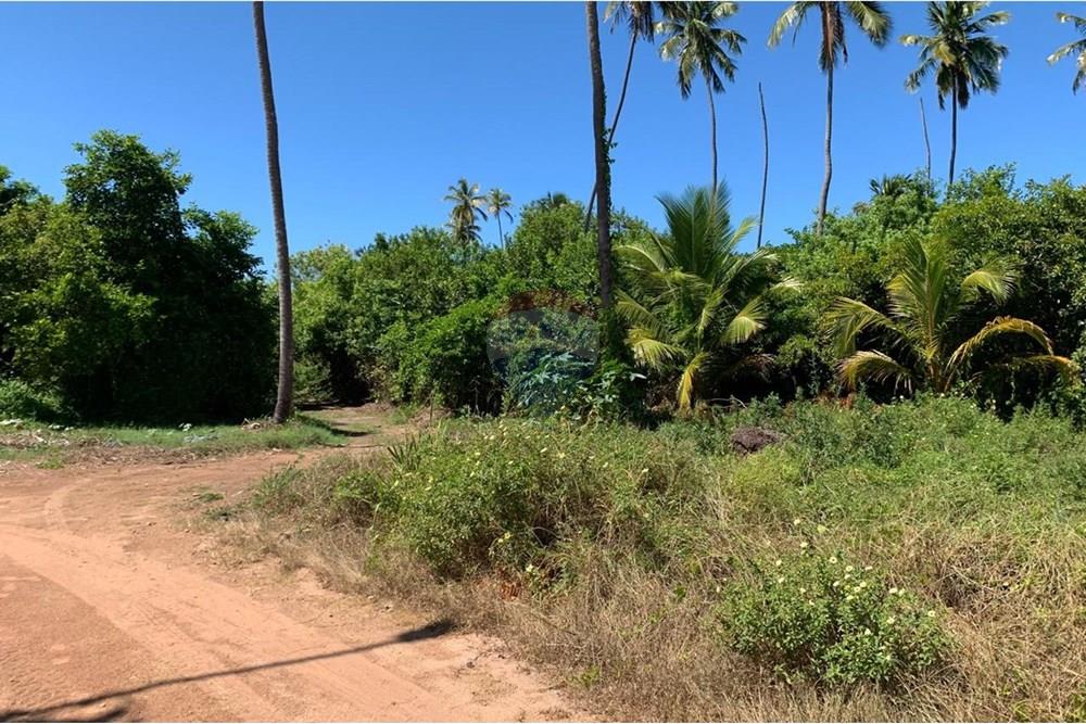 Terreno - Venda - Porto de Pedras , Alagoas - 18.jpg - 850661038-32