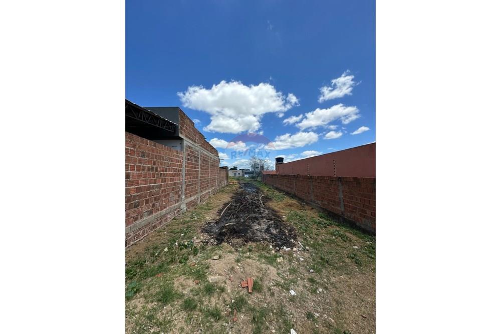 Terreno - Venda - Garanhuns , Pernambuco - WhatsApp Image 2025-10-22 at 20.58.37 (7).jpeg - 850131003-513