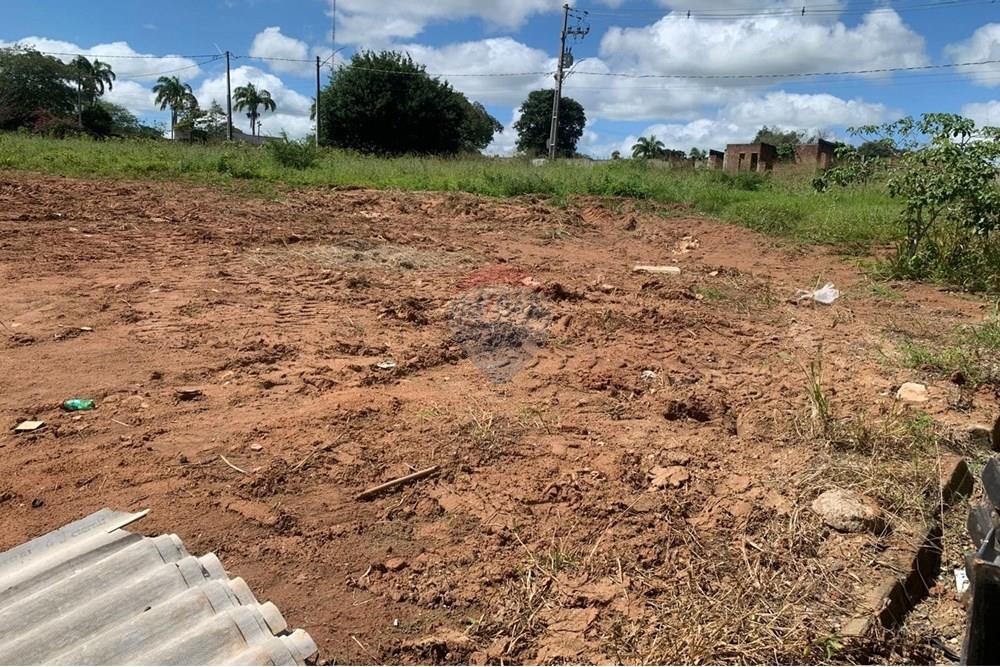 Terreno - Venda - Palmeira dos Índios , Alagoas - 02d3b758-1202-4c00-b5fe-6d1e7668ef30.jpg - 850271243-2