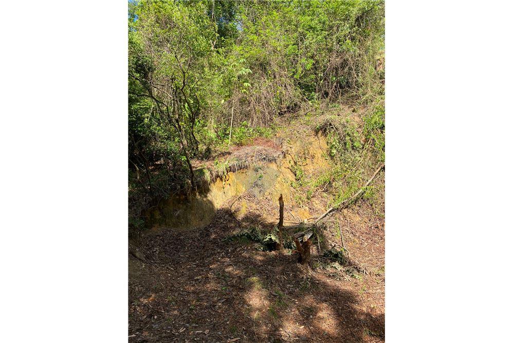 Terreno - Venda - Recife , Pernambuco - 13 - 850251016-617