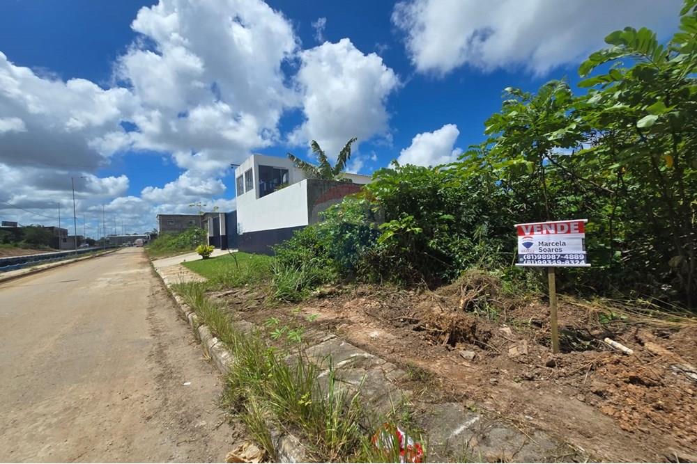 Terreno - Venda - Cabo de Santo Agostinho , Pernambuco - WhatsApp Image 2025-10-04 at 18.07.49.jpeg - 850281036-112