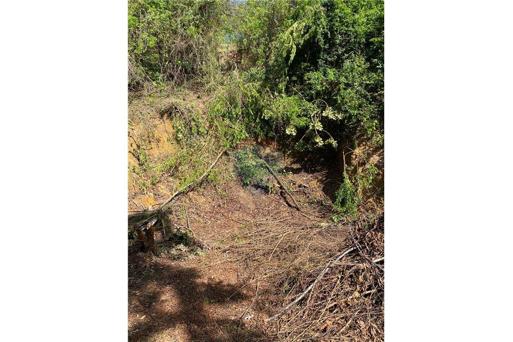 Terreno - Venda - Recife , Pernambuco - 12 - 850251016-617