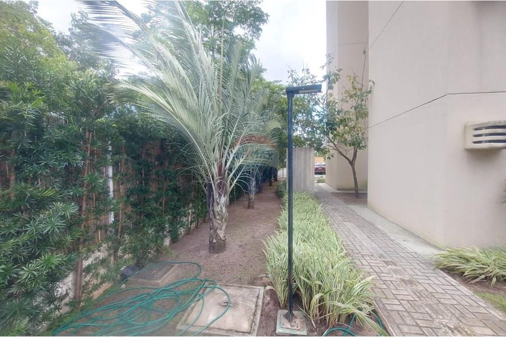 Apartamento - Venda - Recife , Pernambuco - b861b3b2-cba6-4ab9-a40b-fdb1f087cde5.jpg - 850301012-86