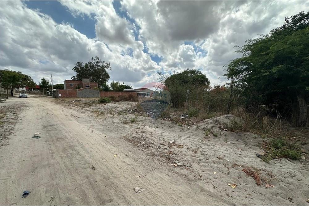 Terreno - Venda - Lajedo , Pernambuco - WhatsApp Image 2024-12-03 at 15.52.46 (8).jpeg - 850131003-358