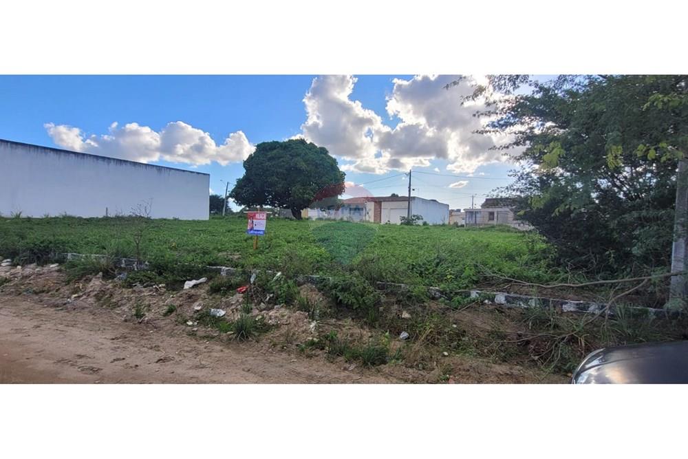 Terreno - Venda - Lajedo , Pernambuco - WhatsApp Image 2025-06-11 at 19.34.10 3.jpeg - 850741004-260