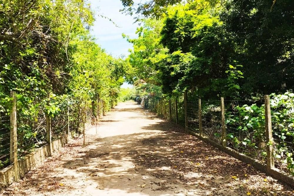 Chácara / Sítio / Fazenda - Venda - Igarassu , Pernambuco - WhatsApp Image 2025-01-23 at 15.11.57 (1).jpeg - 850071019-161