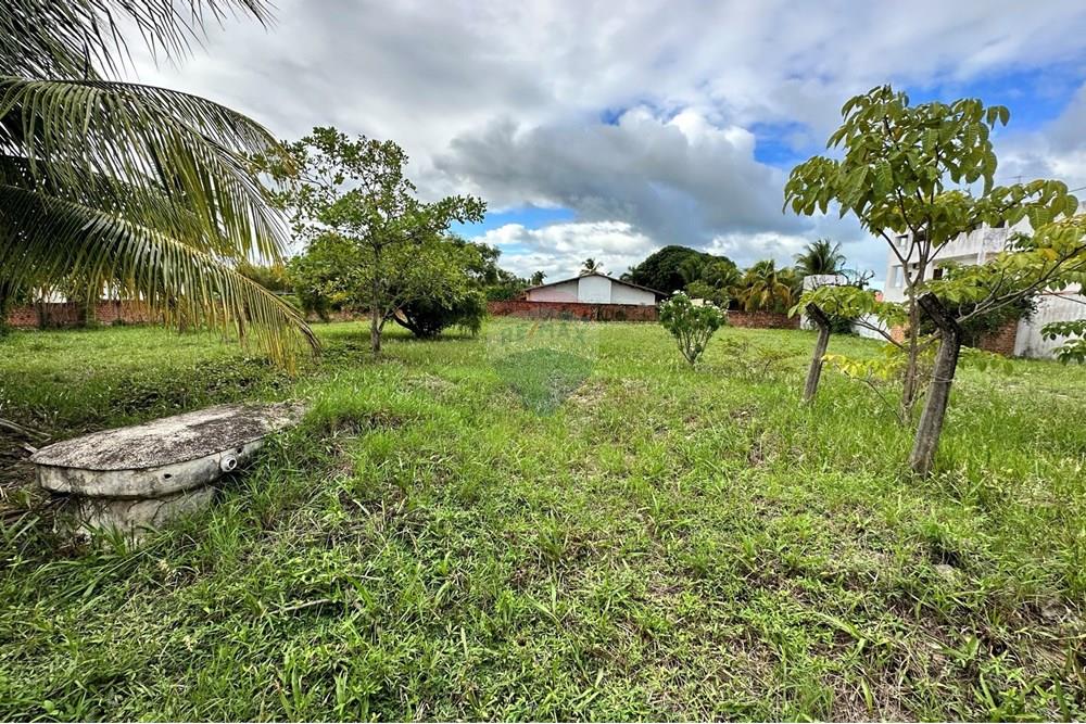 Terreno - Venda - Barra de Santo Antônio , Alagoas - IMG_3307.JPEG - 850491016-41