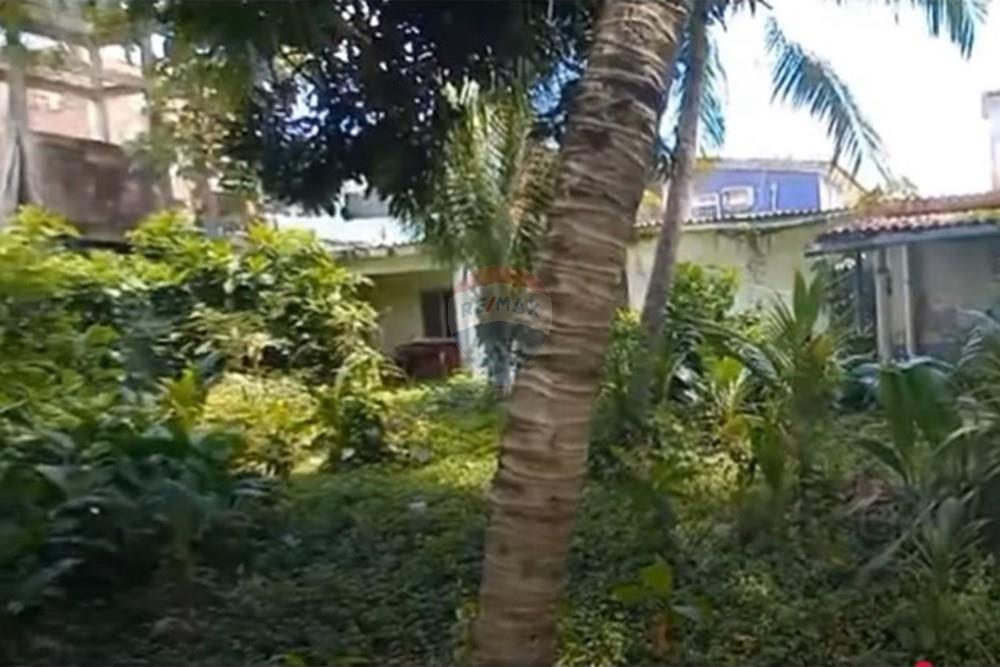 Terreno - Venda - Jaboatão dos Guararapes , Pernambuco - Foto dentro do terreno VII.jpg - 850601020-8