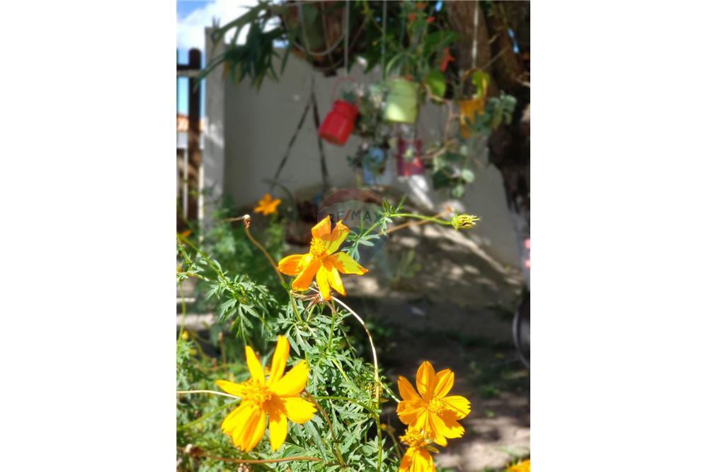 Casa - Venda - Ipojuca , Pernambuco - 29 - 850221015-74