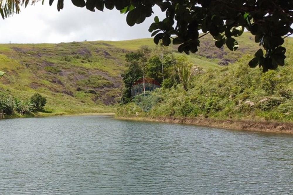 Chácara / Sítio / Fazenda - Venda - Bonito , Pernambuco - WhatsApp Image 2024-12-05 at 15.54.00 (5).jpeg - 850051012-116